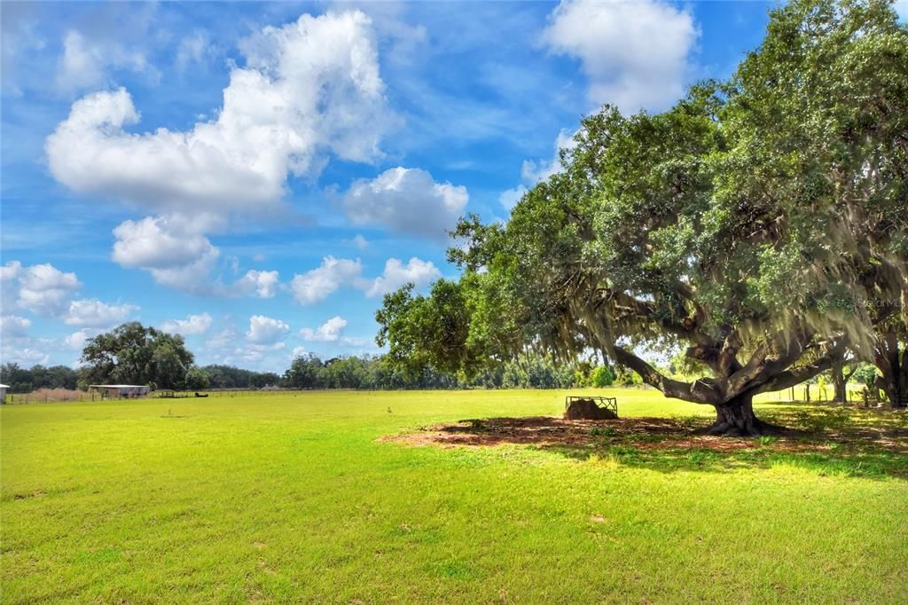 На продажу: $850,000 (9.95 acres)