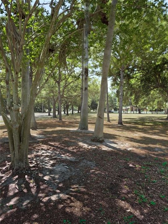 For Rent: $3,600 (3 beds, 2 baths, 1318 Square Feet)