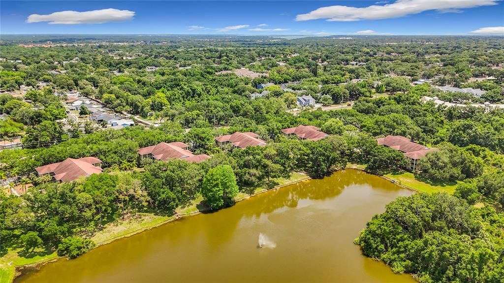 Active With Contract: $135,000 (1 beds, 1 baths, 685 Square Feet)