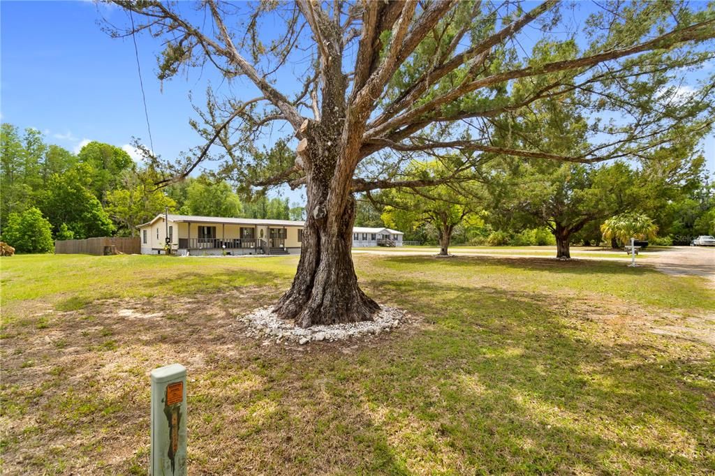 En Venta: $239,800 (3 camas, 2 baños, 1200 Pies cuadrados)