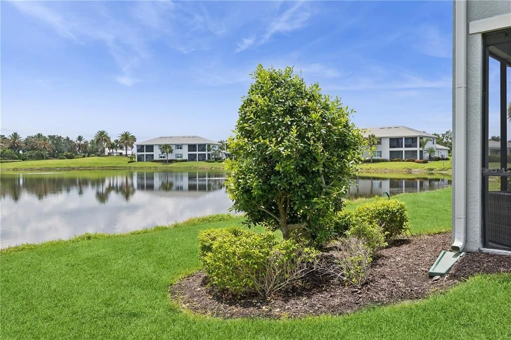 For Rent: $2,900 (3 beds, 2 baths, 1769 Square Feet)
