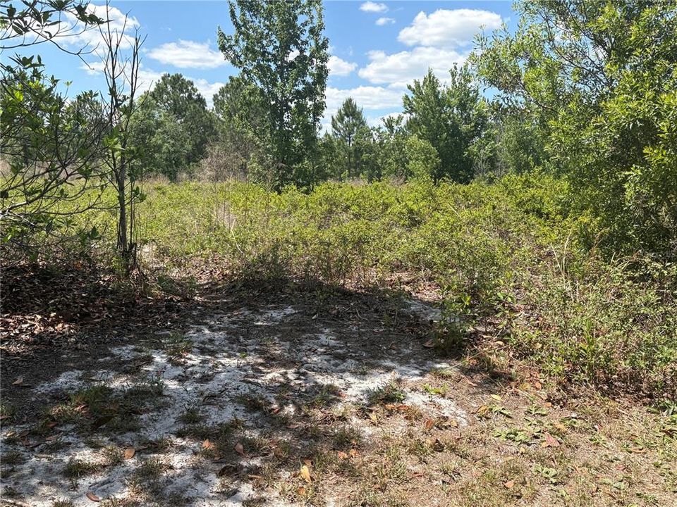 En Venta: $120,000 (1.58 acres)