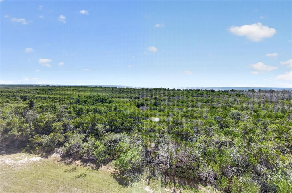 For Sale: $349,400 (2 beds, 2 baths, 1102 Square Feet)