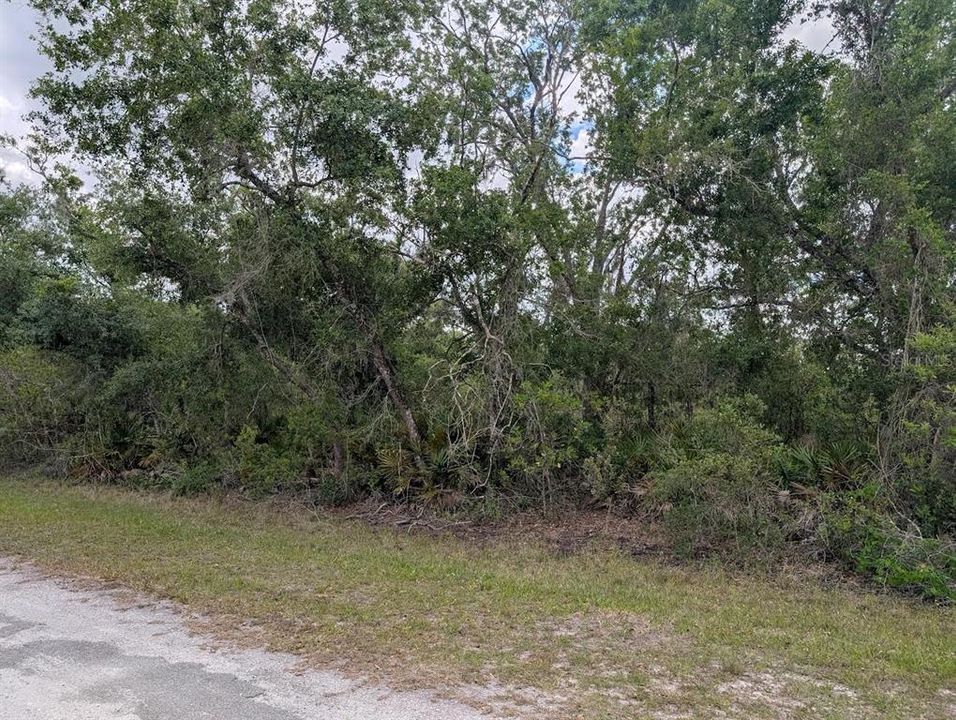 На продажу: $16,000 (0.50 acres)