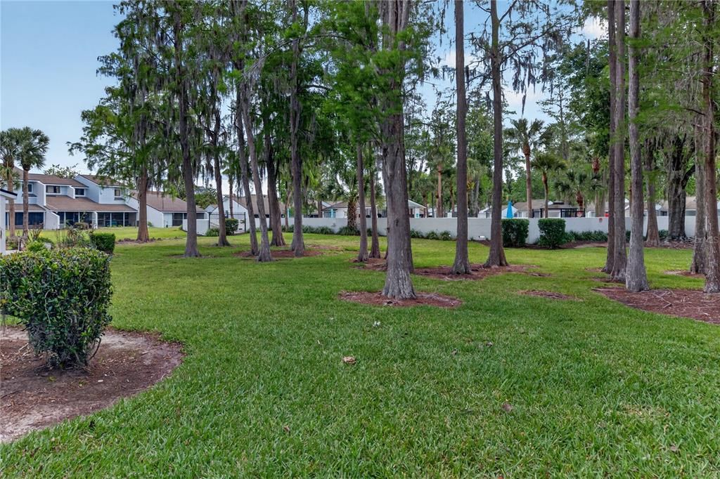 Activo con contrato: $149,900 (2 camas, 2 baños, 921 Pies cuadrados)
