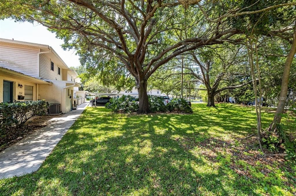 For Sale: $259,000 (3 beds, 2 baths, 1500 Square Feet)