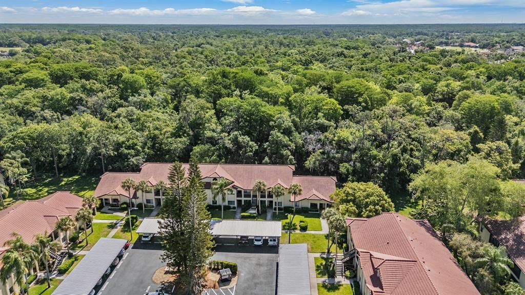 На продажу: $275,000 (2 спален, 2 ванн, 1300 Квадратных фут)