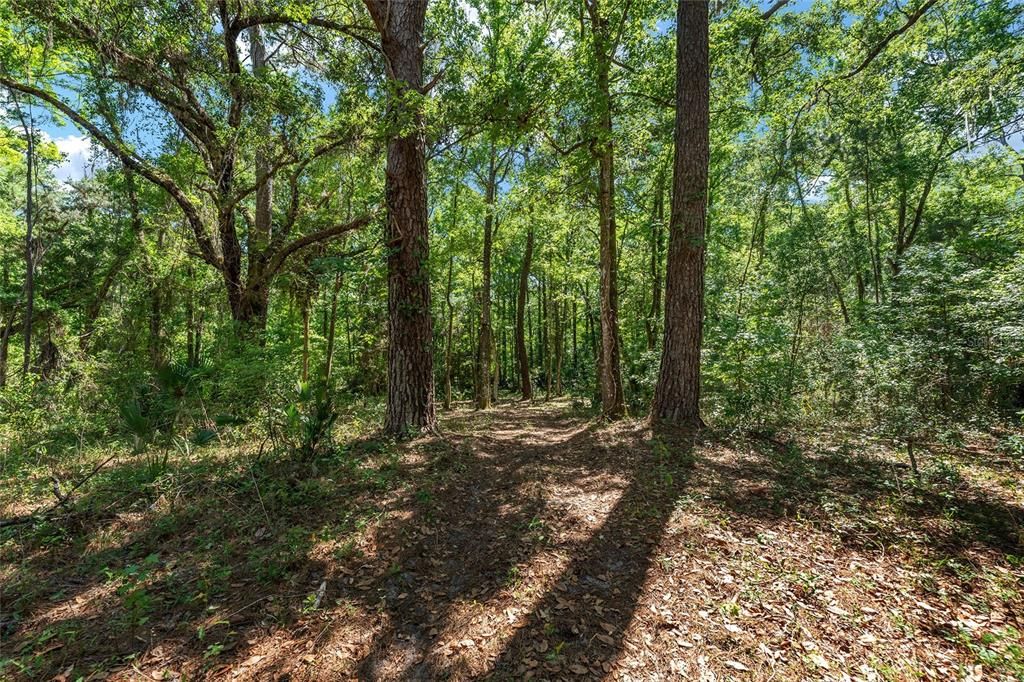 待售: $1,650,000 (2 贝兹, 1 浴室, 4288 平方英尺)
