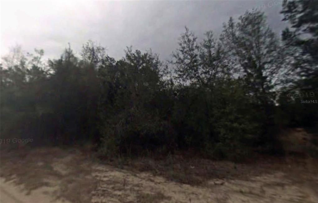 待售: $13,000 (0.23 acres)