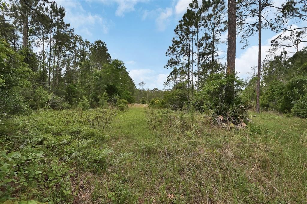 En Venta: $449,900 (5.71 acres)