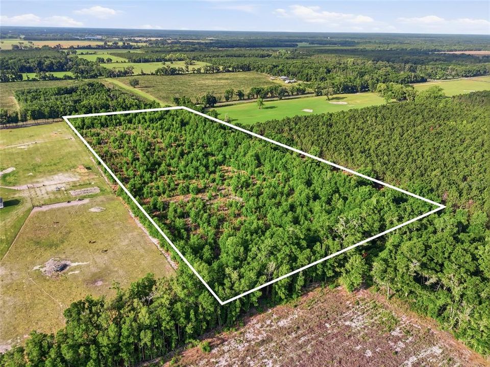 For Sale: $260,000 (16.32 acres)
