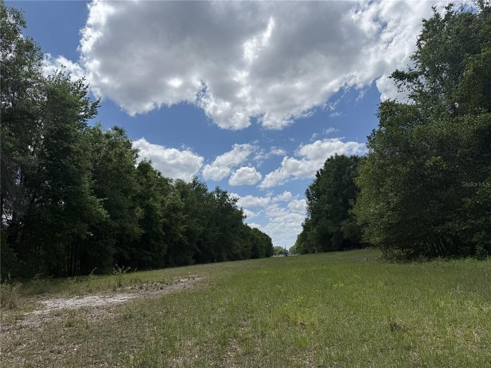 For Sale: $260,000 (16.32 acres)