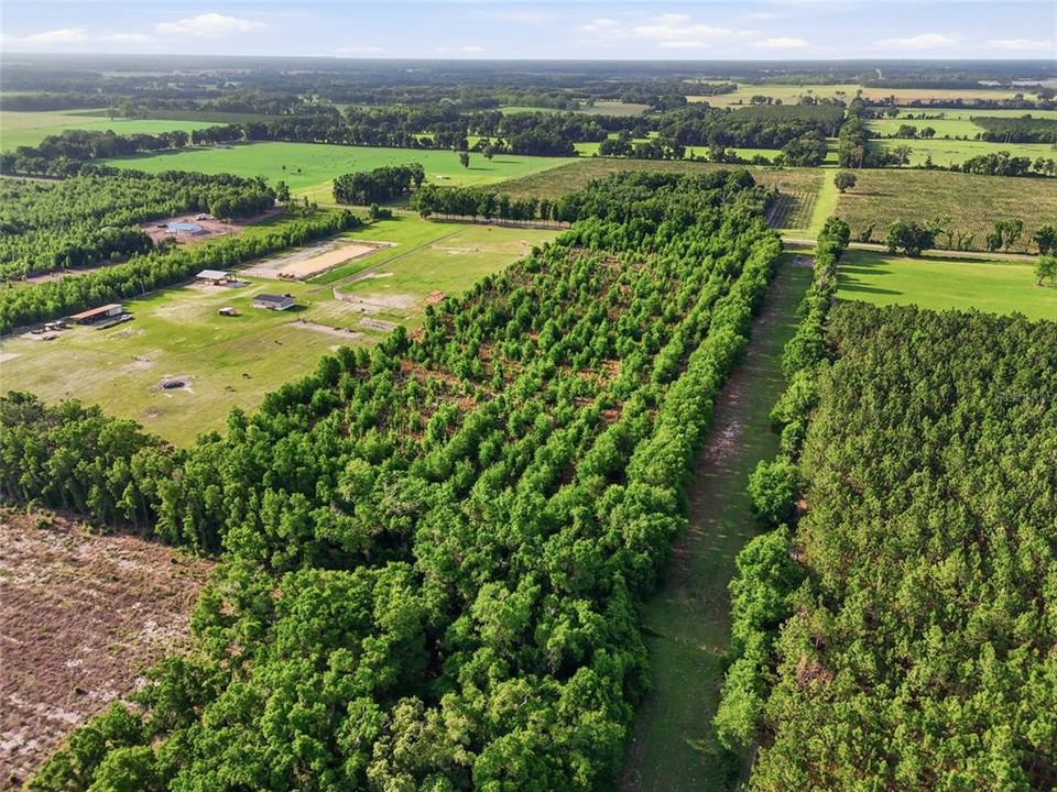 For Sale: $260,000 (16.32 acres)