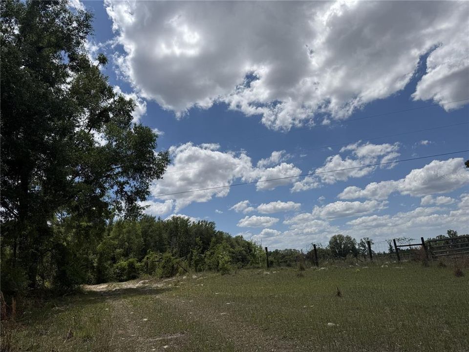 For Sale: $260,000 (16.32 acres)