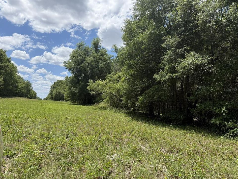 For Sale: $260,000 (16.32 acres)