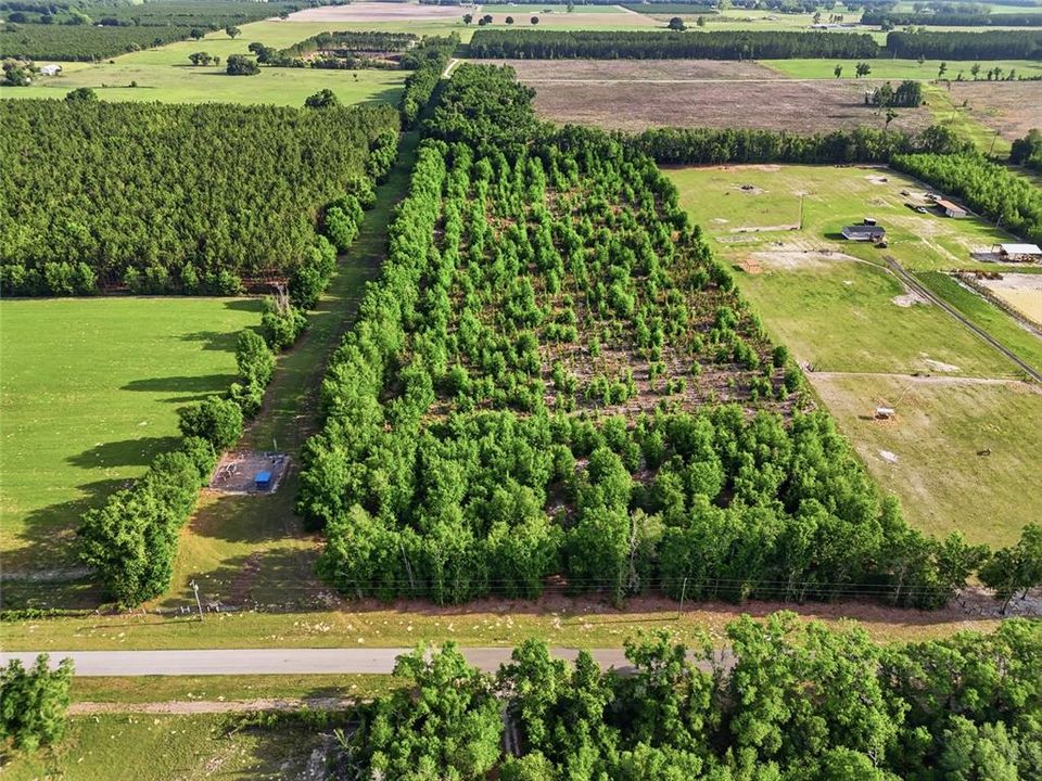 For Sale: $260,000 (16.32 acres)
