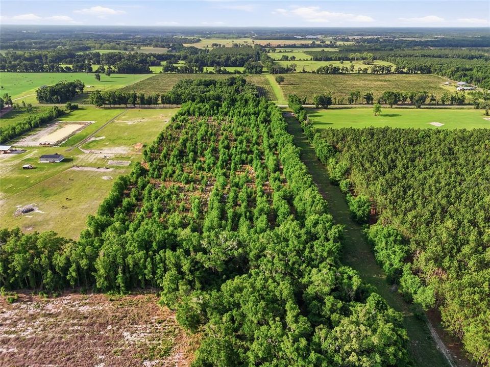 For Sale: $260,000 (16.32 acres)