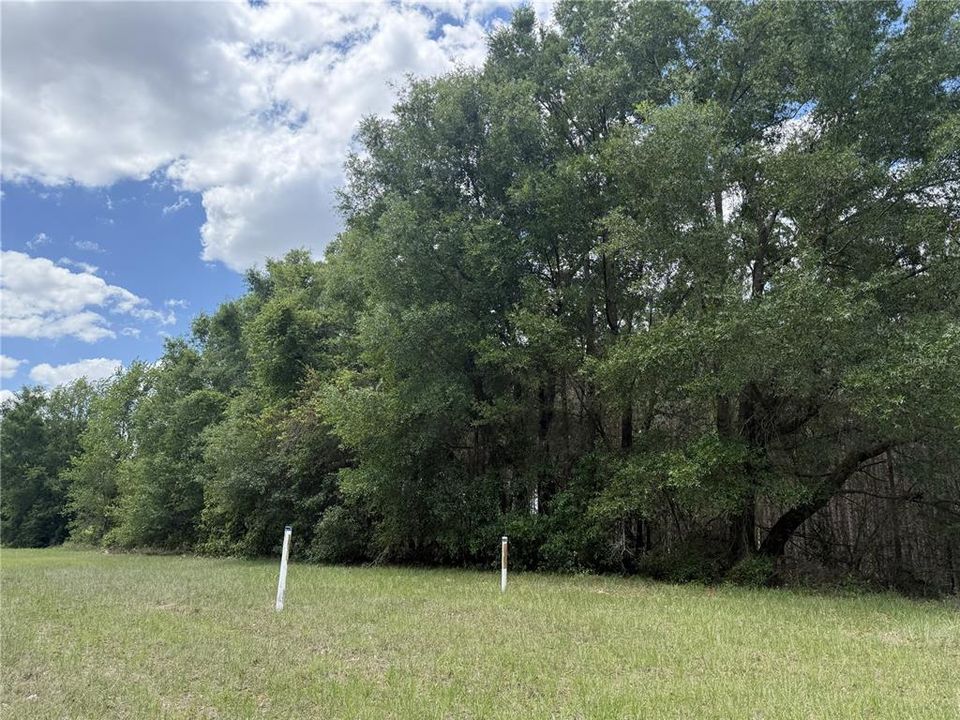 For Sale: $260,000 (16.32 acres)
