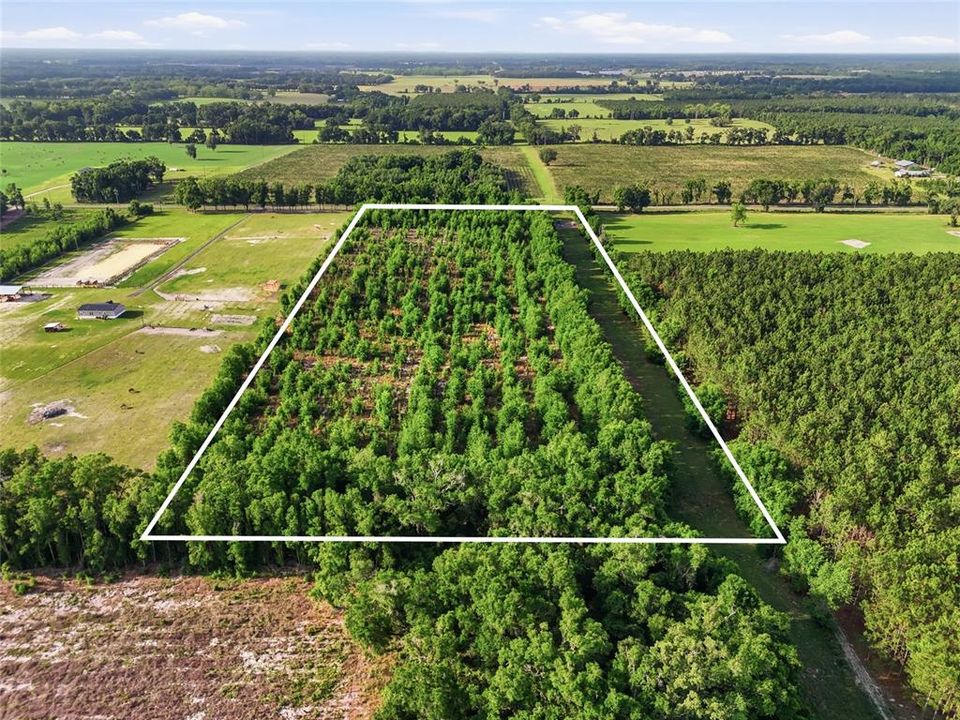 For Sale: $260,000 (16.32 acres)