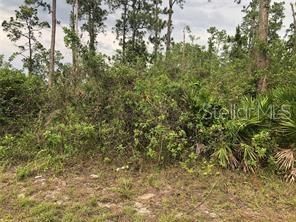For Sale: $55,000 (1.25 acres)
