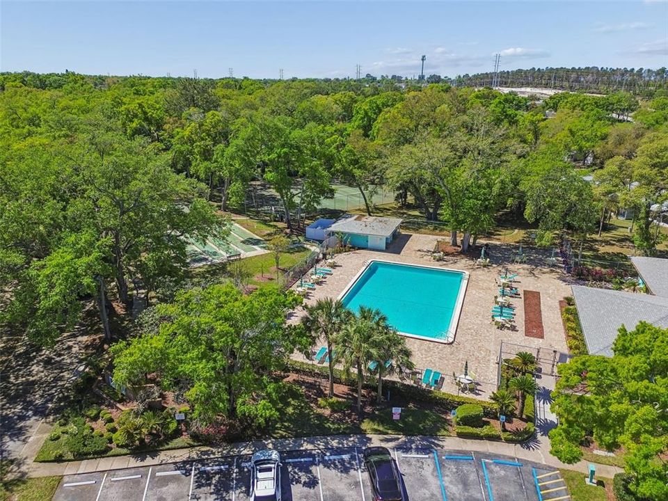 Active With Contract: $1,500 (2 beds, 2 baths, 906 Square Feet)