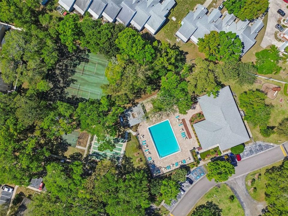 Active With Contract: $1,500 (2 beds, 2 baths, 906 Square Feet)