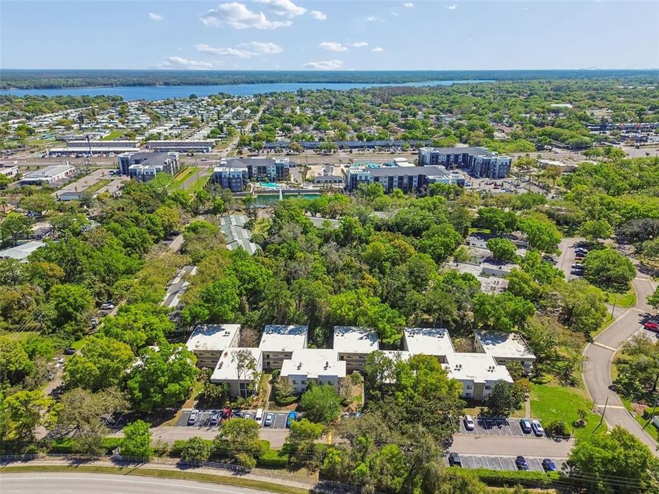 Active With Contract: $1,500 (2 beds, 2 baths, 906 Square Feet)
