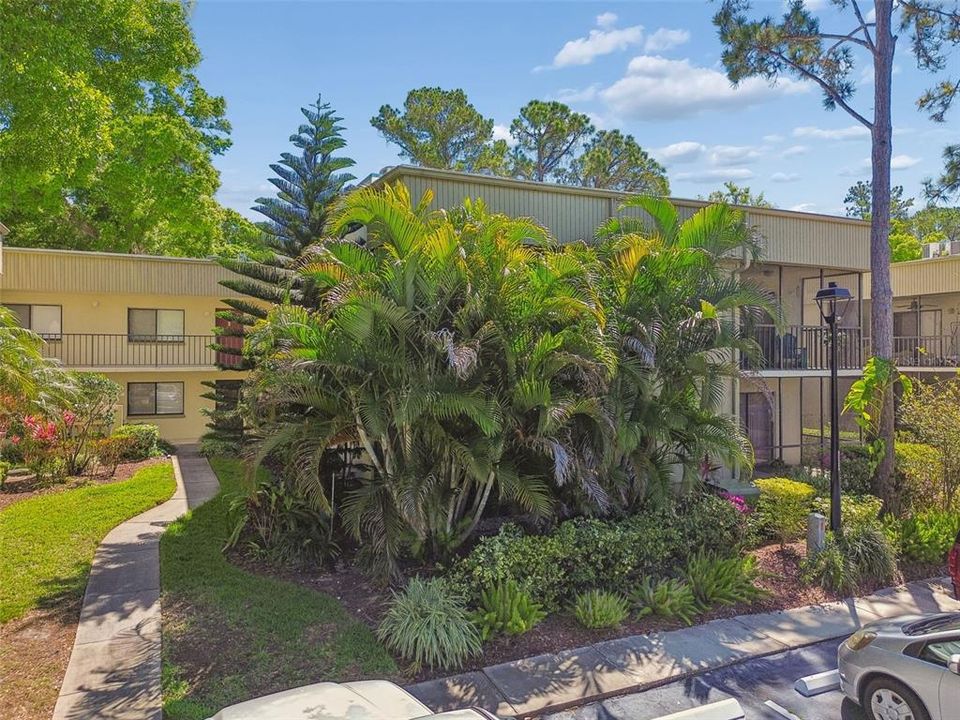 Active With Contract: $1,500 (2 beds, 2 baths, 906 Square Feet)