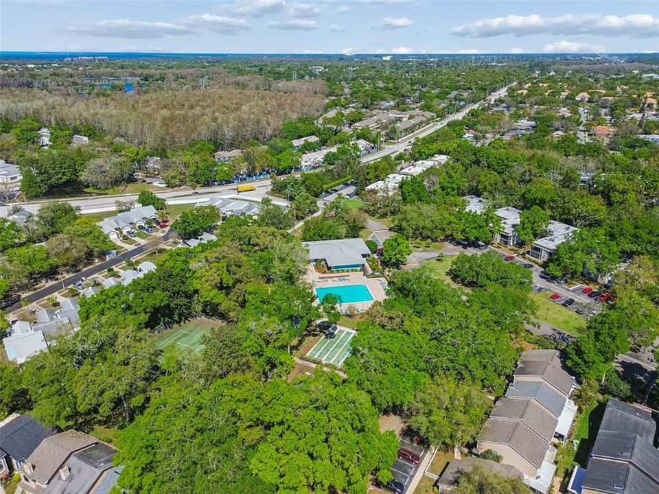 Active With Contract: $1,500 (2 beds, 2 baths, 906 Square Feet)