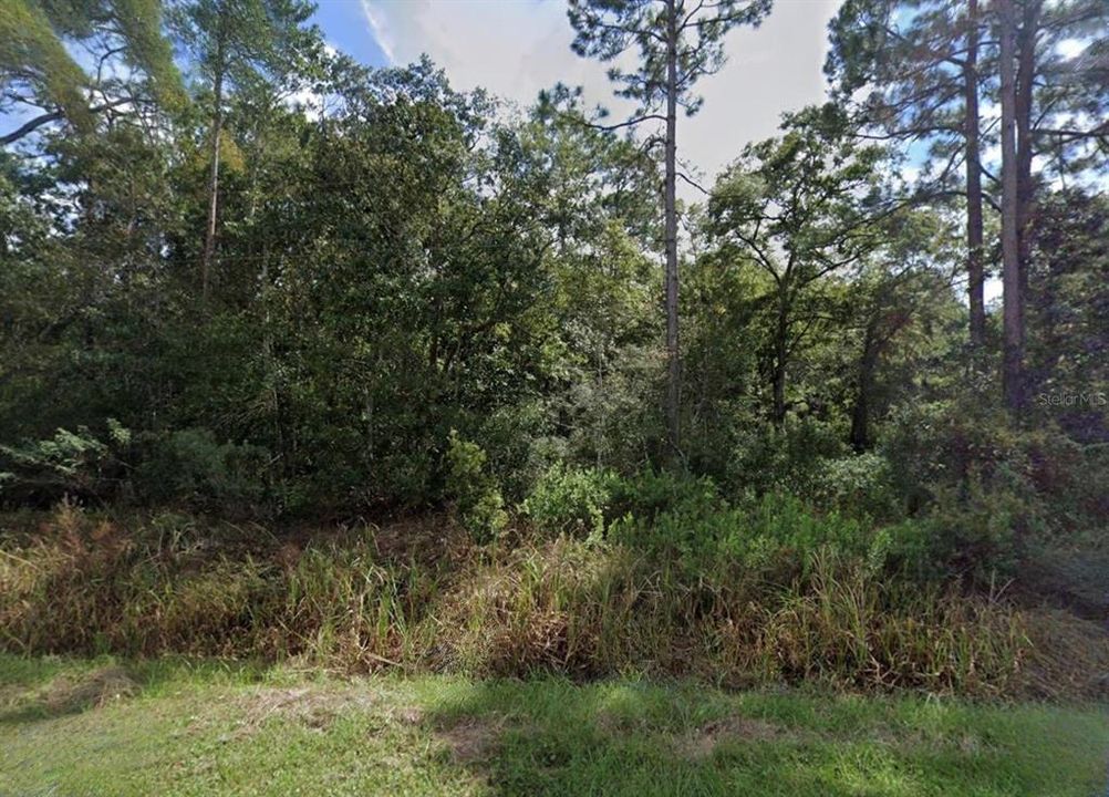 For Sale: $26,900 (1.01 acres)