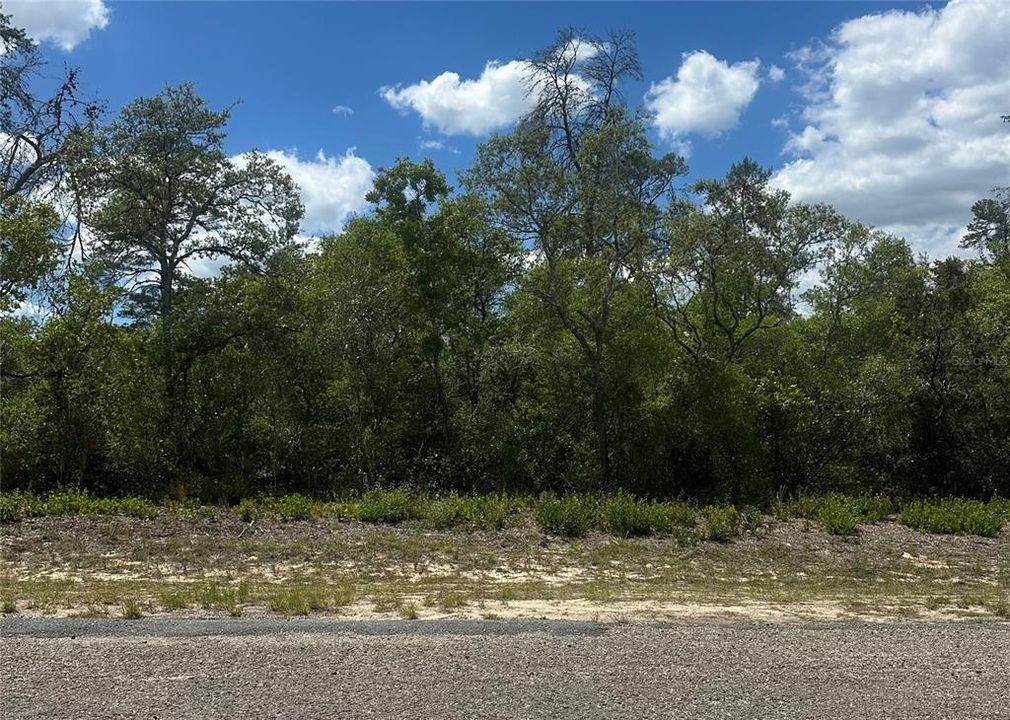 合同活跃: $24,000 (0.50 acres)