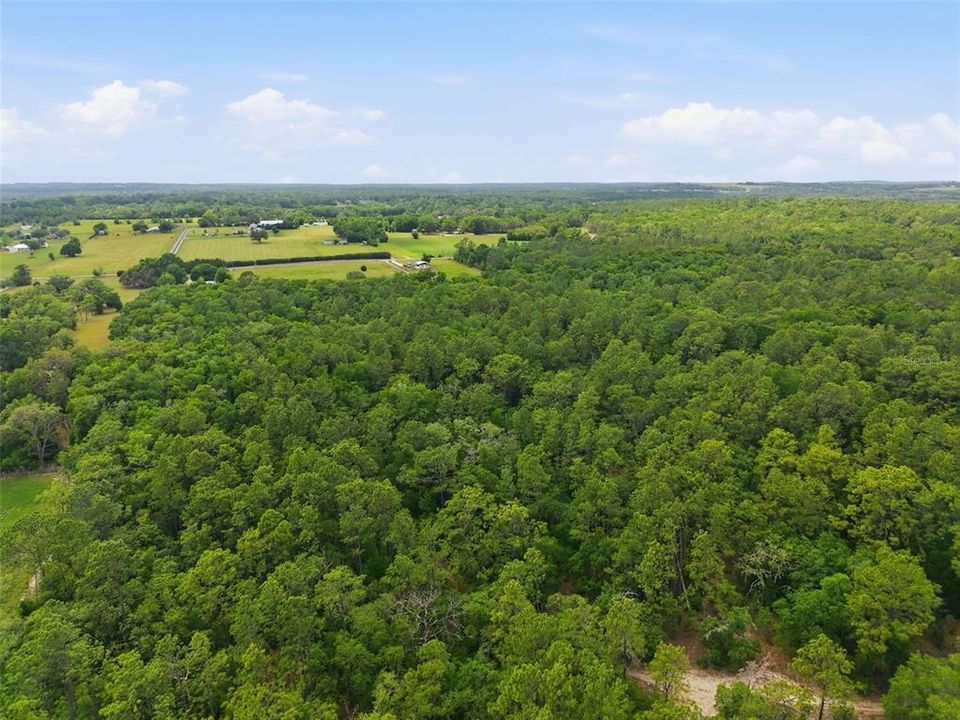 En Venta: $2,200,000 (20.10 acres)