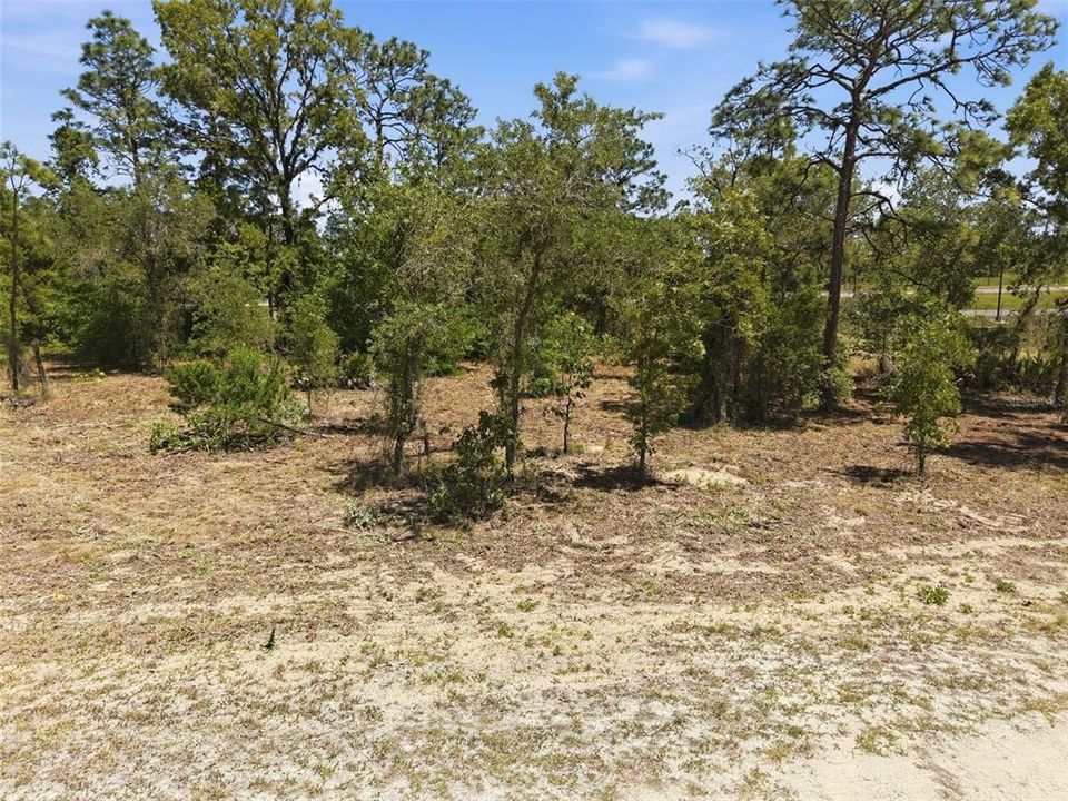 合同活跃: $35,000 (0.48 acres)