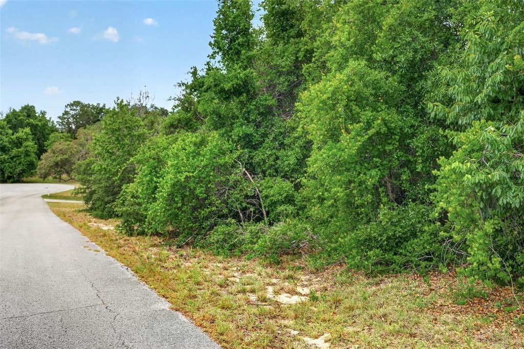 На продажу: $40,000 (1.00 acres)