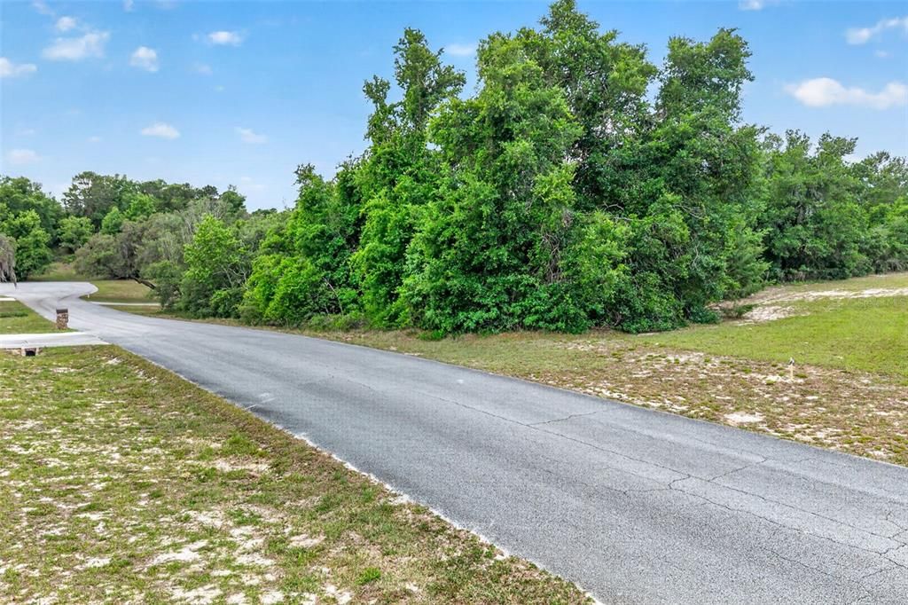 На продажу: $40,000 (1.00 acres)