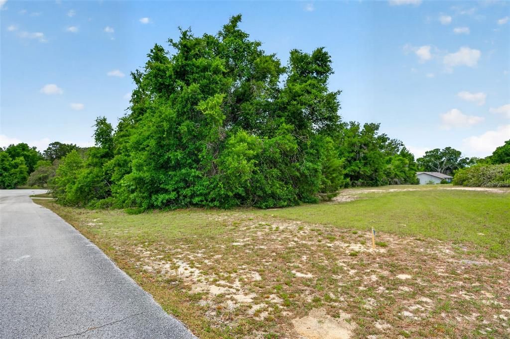 На продажу: $40,000 (1.00 acres)
