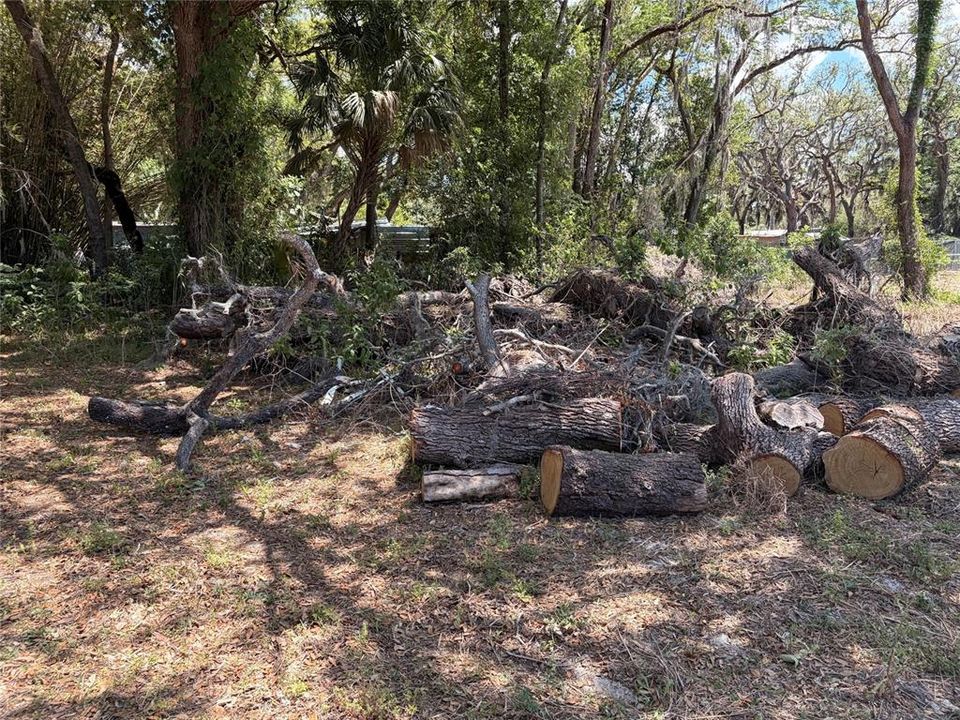 For Sale: $57,000 (0.44 acres)