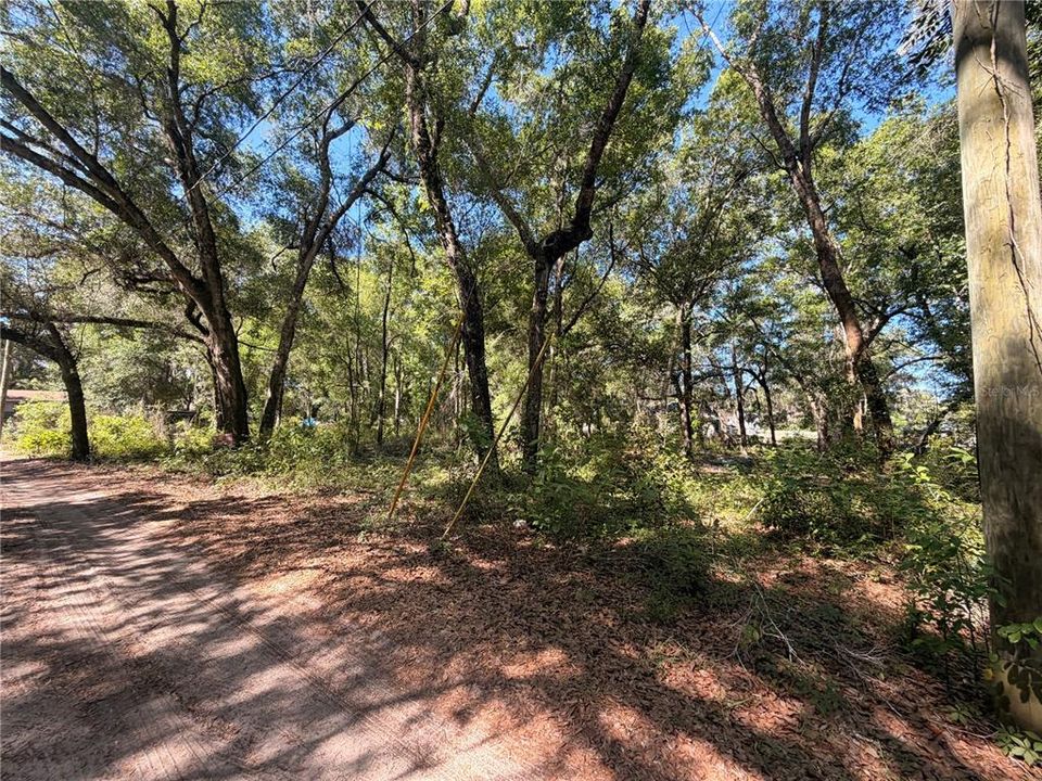 待售: $45,000 (0.50 acres)