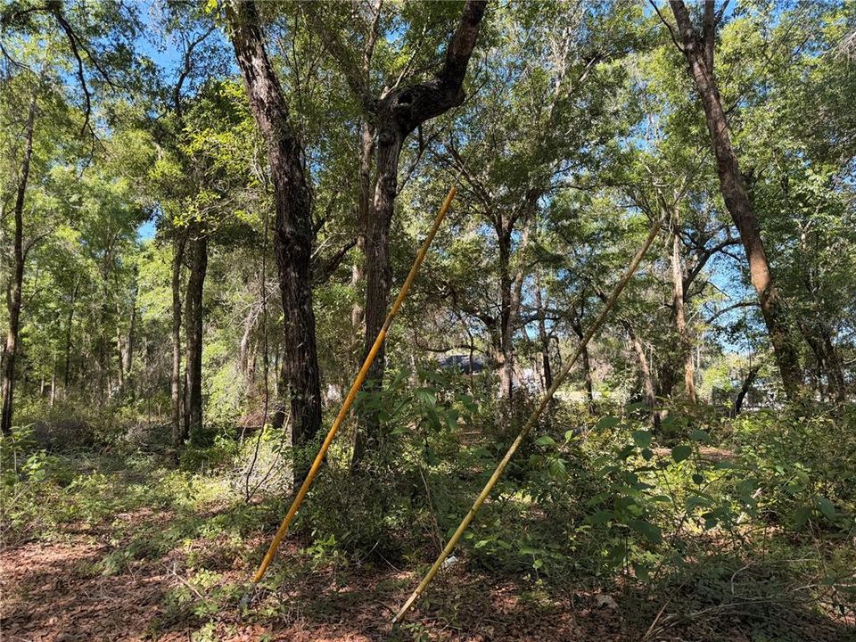 待售: $45,000 (0.50 acres)