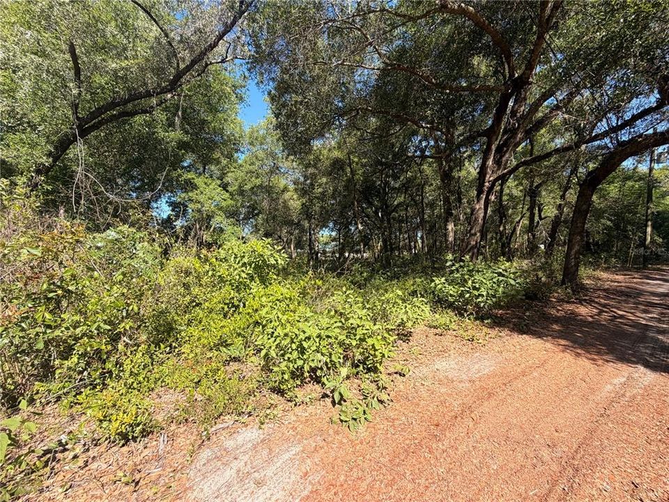 待售: $45,000 (0.50 acres)