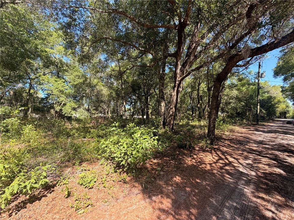 待售: $45,000 (0.50 acres)