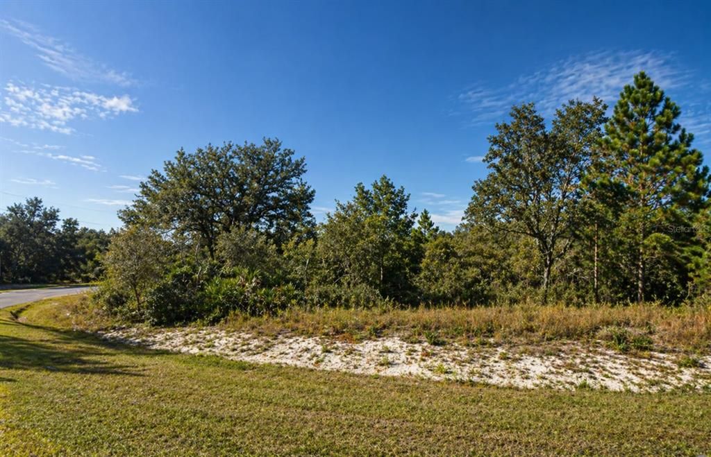 For Sale: $45,000 (0.36 acres)