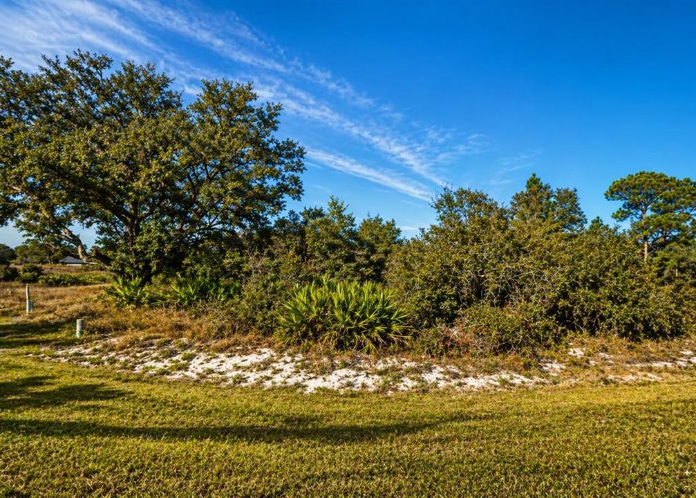 For Sale: $45,000 (0.36 acres)