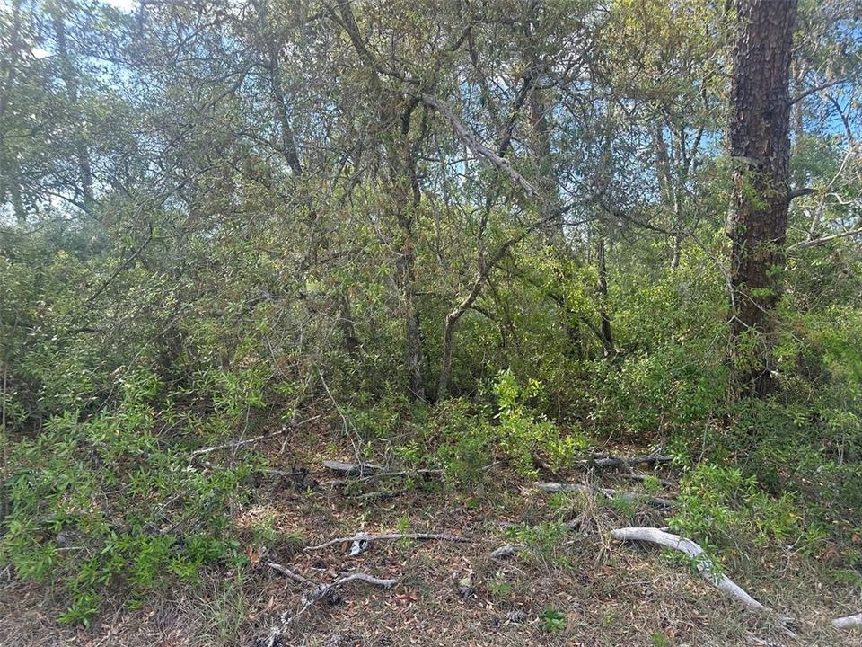 待售: $52,500 (0.29 acres)