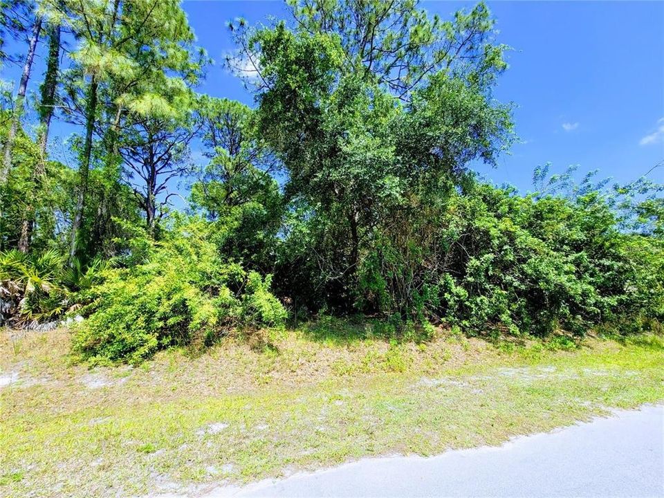 合同活跃: $24,900 (0.23 acres)