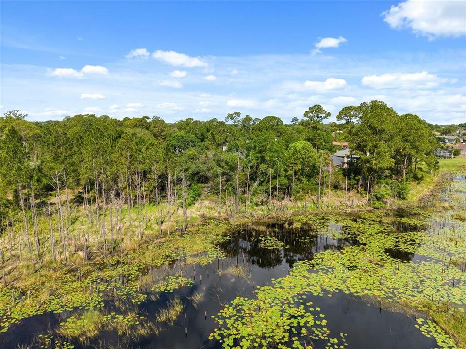 На продажу: $85,000 (0.45 acres)