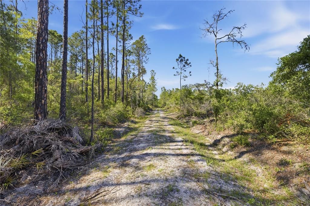待售: $320,000 (39.36 acres)