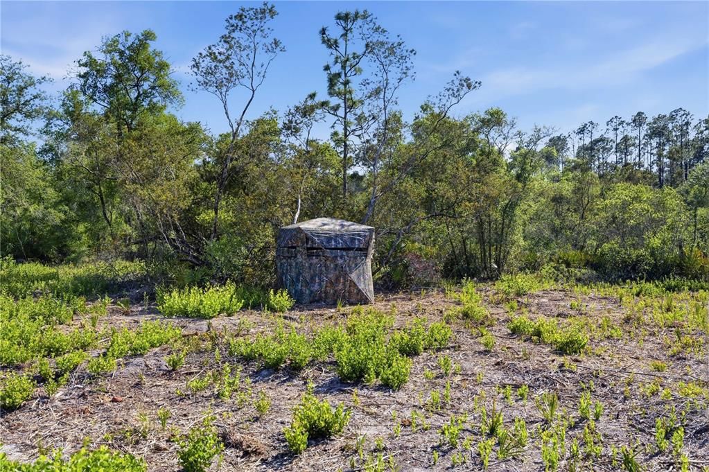 待售: $320,000 (39.36 acres)