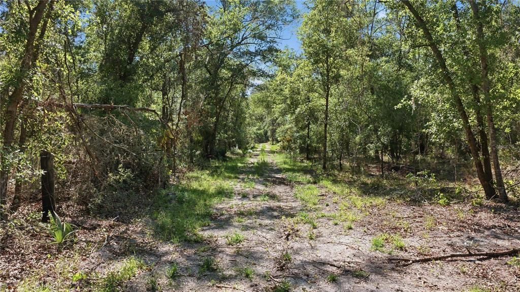 待售: $320,000 (39.36 acres)