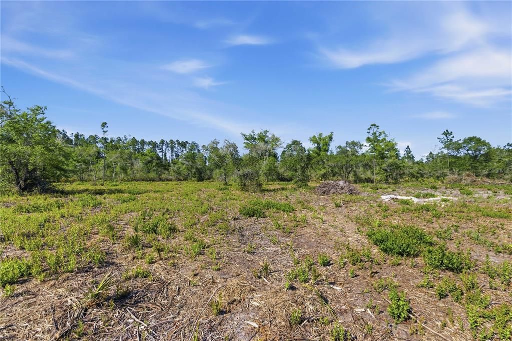 待售: $320,000 (39.36 acres)